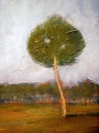 S P1540813